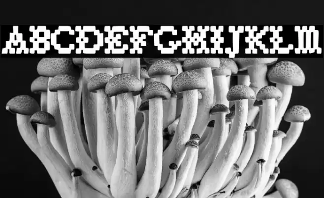 Vuelta De Campana Caratteri examples