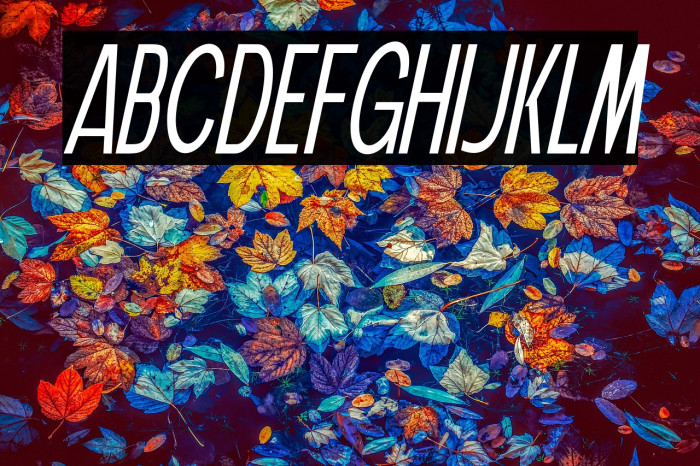 Vuldo Italic Example 1