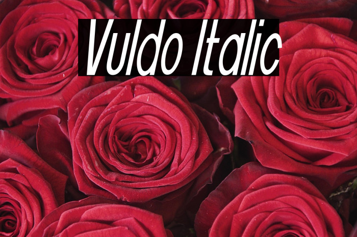Vuldo Italic Example 3