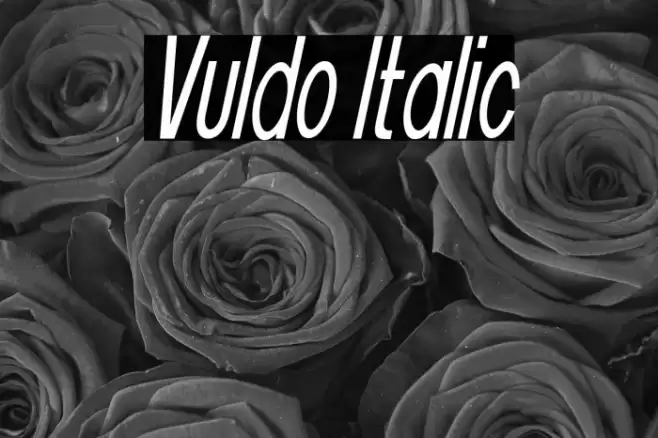 Vuldo Italic Font examples