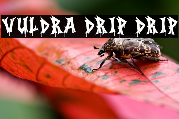 Vuldra Drip Drip フォント examples