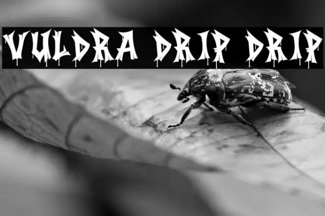 Vuldra Drip Drip Font examples