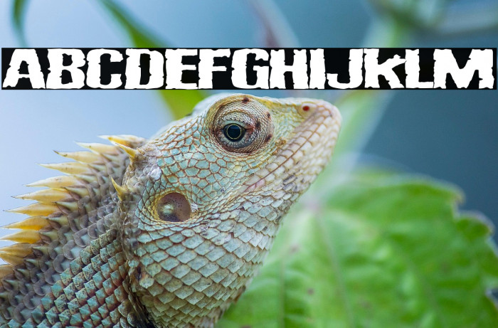 Vulgar Display Of Power Example 2