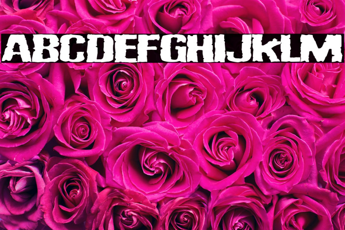 Vulgar Display Of Power Example 3