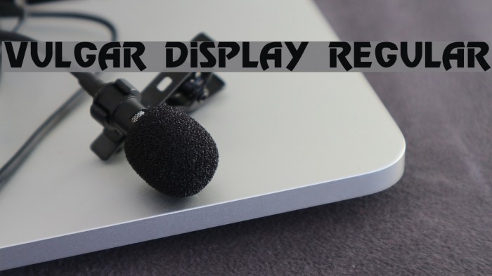Vulgar Display Regular Font examples
