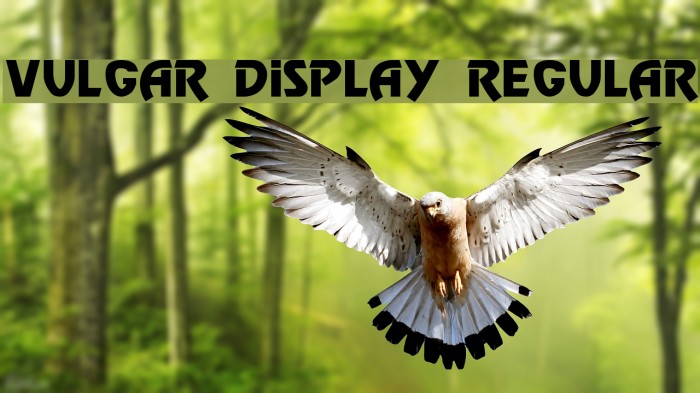 Vulgar Display Regular Font examples