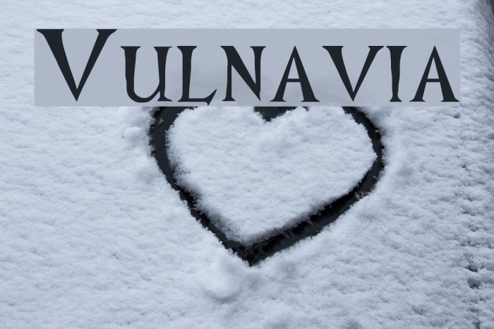 Vulnavia Font examples