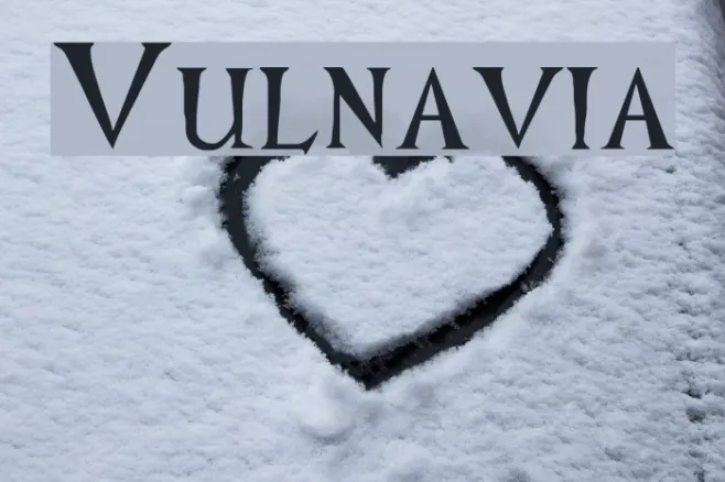 Vulnavia Example 1