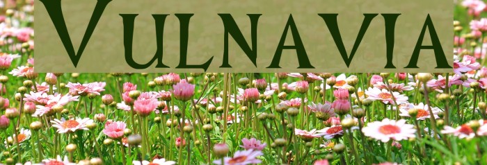 Vulnavia Font examples
