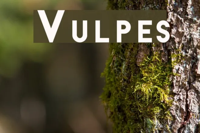 Vulpes Example 1