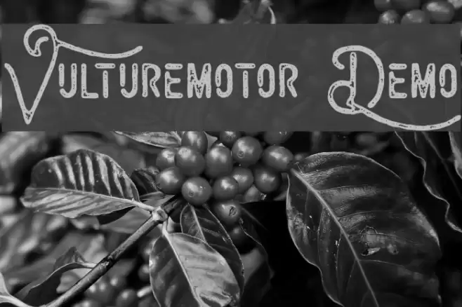 Vulturemotor Demo Font examples