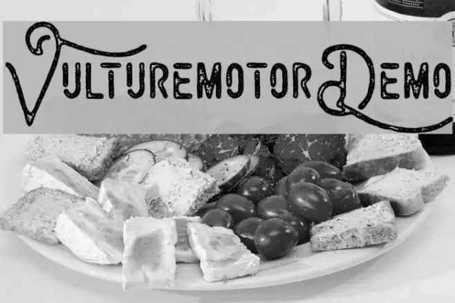 VulturemotorDemo Font examples