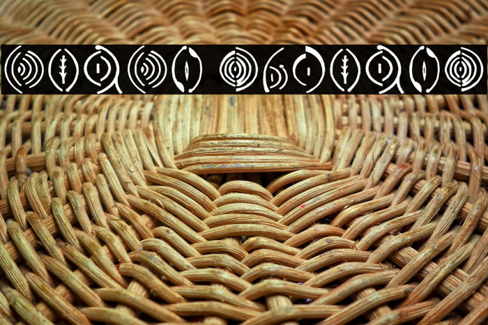 Vulva Regular Example 2