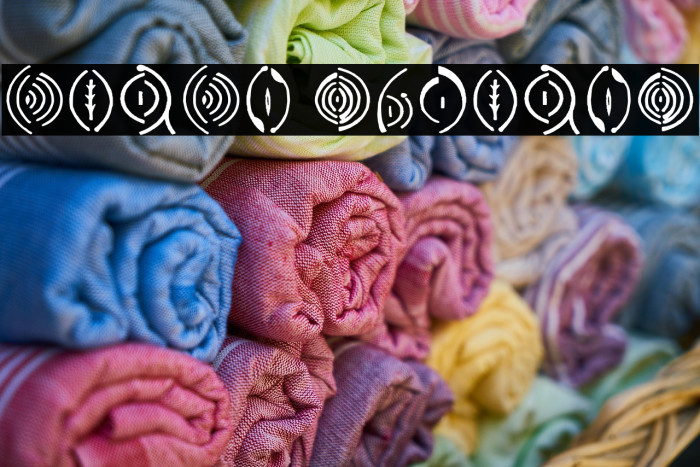 Vulva Regular Example 3