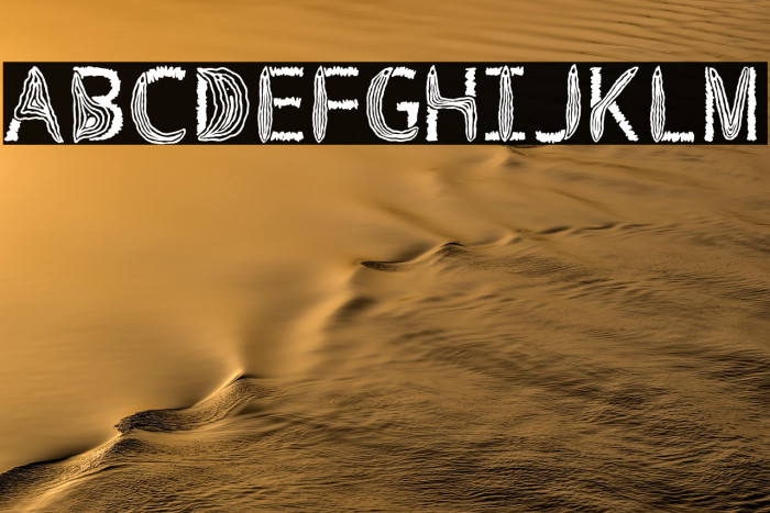 VulvaTypography-Regular Example 2