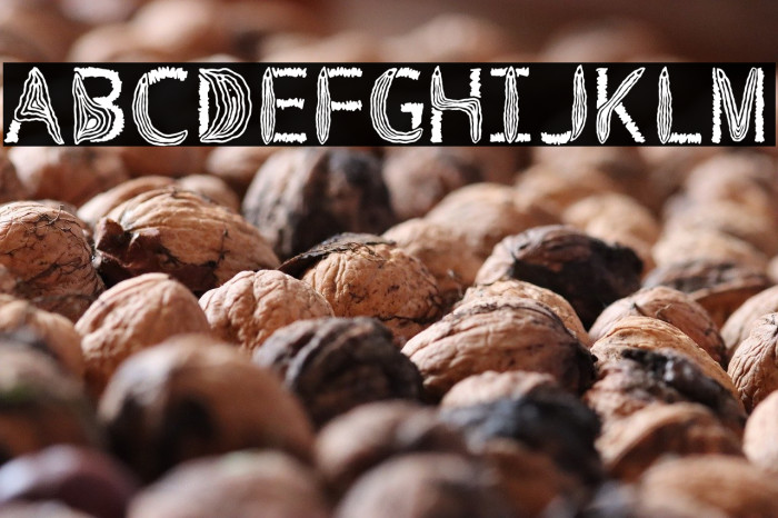 VulvaTypography-Regular Example 3