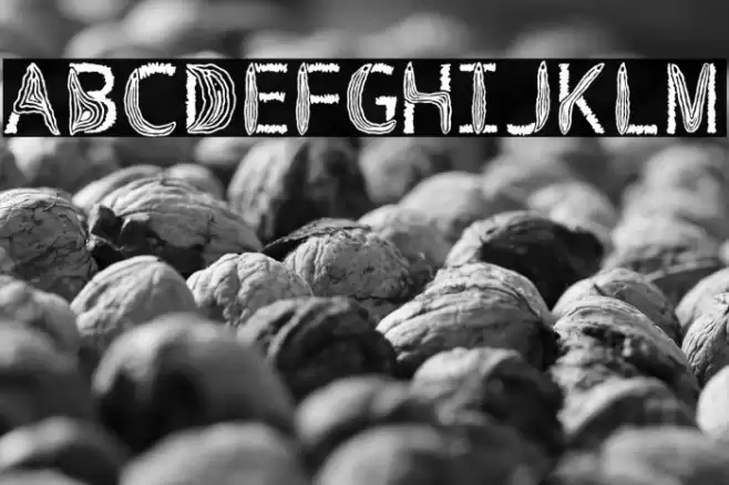 VulvaTypography-Regular Font examples