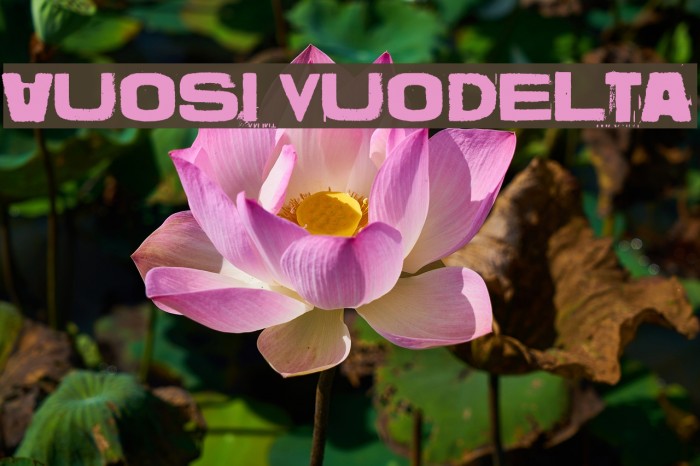 Vuosi vuodelta Example 1