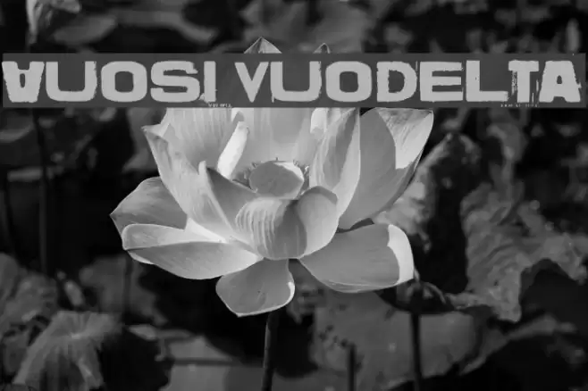 Vuosi vuodelta Font examples