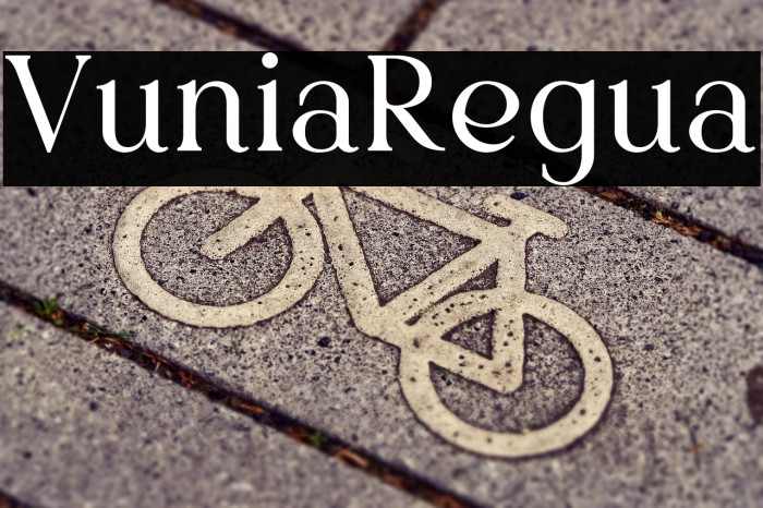 Vurnia Regular Example 2