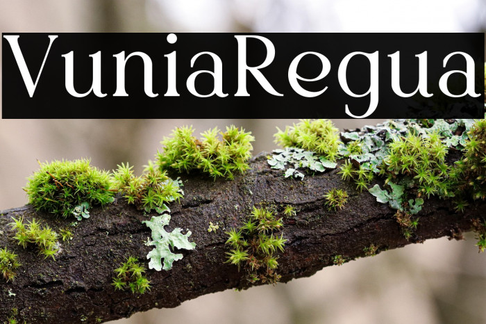 Vurnia Regular Example 3