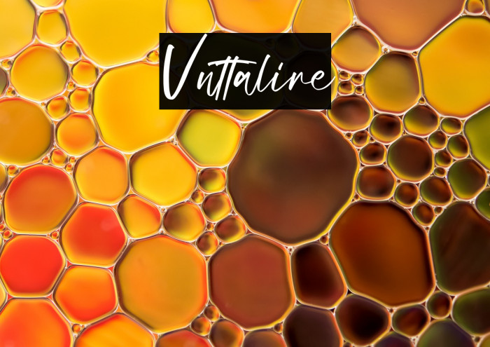 Vuttaline Example 3