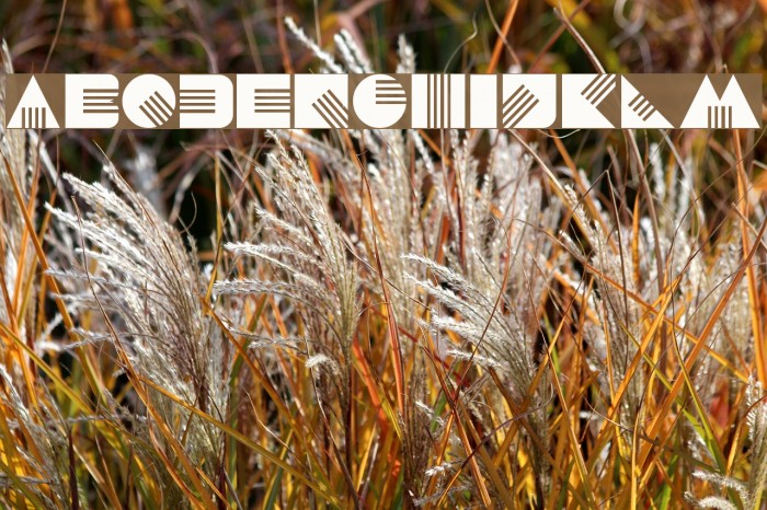 vuur Font examples