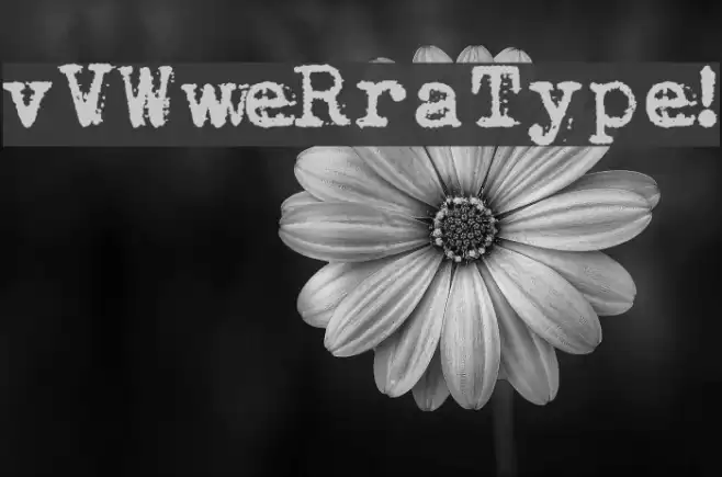 vVWweRraType! Font examples