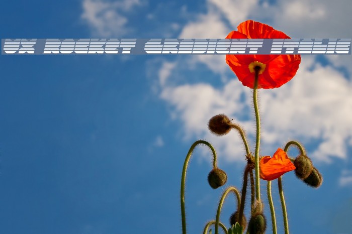 VX Rocket Gradient Italic Font examples
