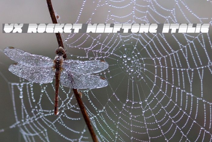 VX Rocket Halftone Italic Font examples