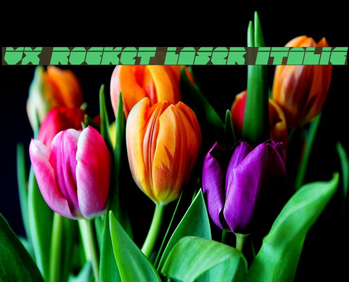 VX Rocket Laser Italic Font examples