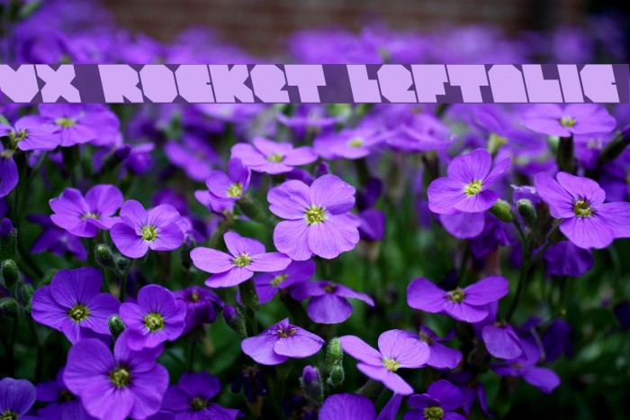 VX Rocket Leftalic Font examples