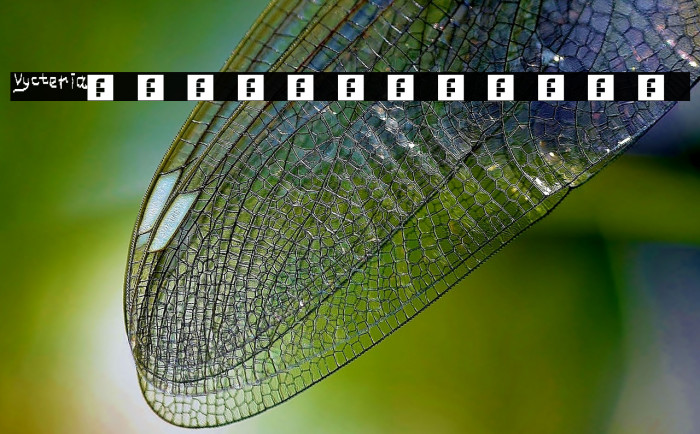 Vycteria Regular Example 2