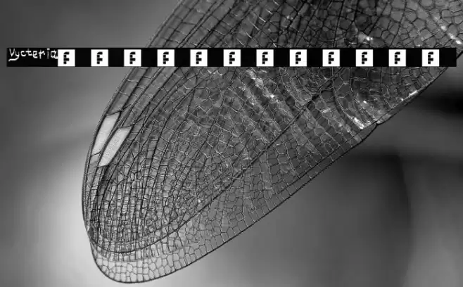 Vycteria Regular Font examples