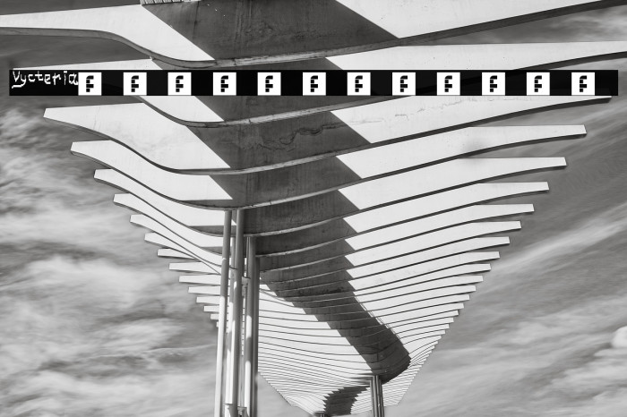 Vycteria Regular Example 3