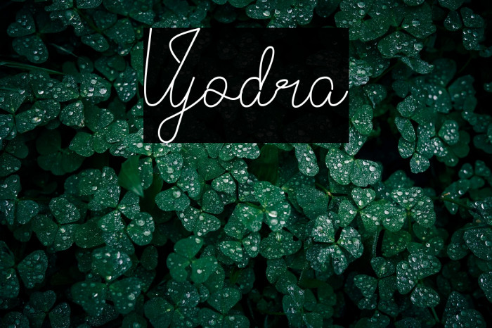 Vyodra Example 1