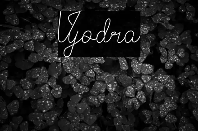 Vyodra Font examples