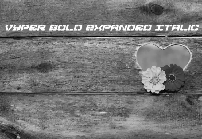 Vyper Bold Expanded Italic Font examples