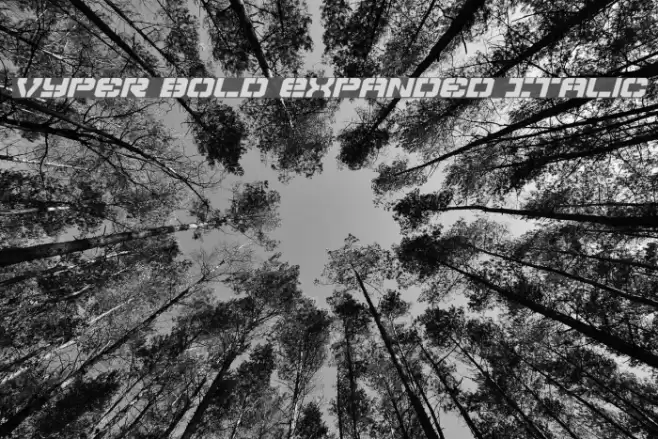 Vyper Bold Expanded Italic Font examples