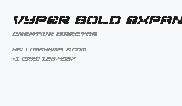 Vyper Bold Expanded Italic Business Card