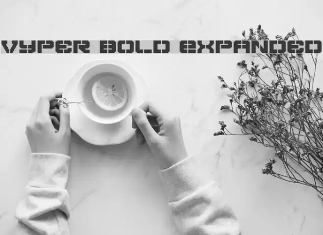 Vyper Bold Expanded Font examples