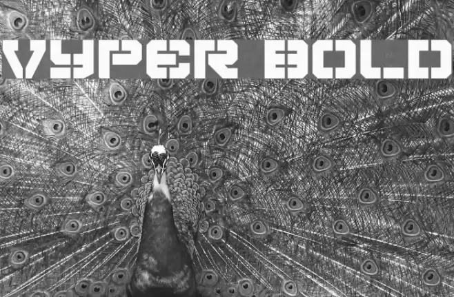 Vyper Bold Polices examples