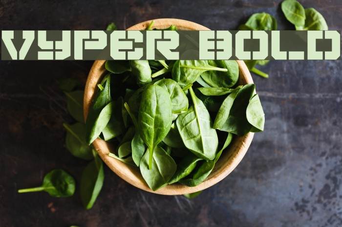 Vyper Bold Font examples