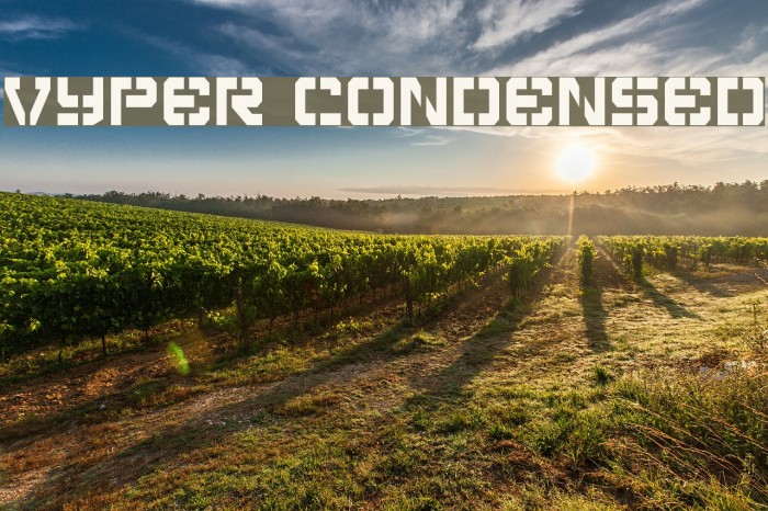 Vyper Condensed Font examples