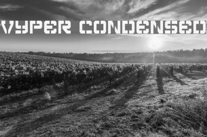 Vyper Condensed Polices examples