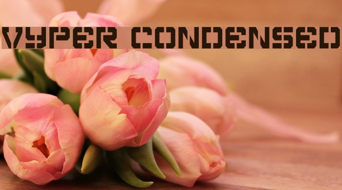 Vyper Condensed Font examples