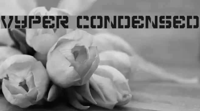 Vyper Condensed Polices examples