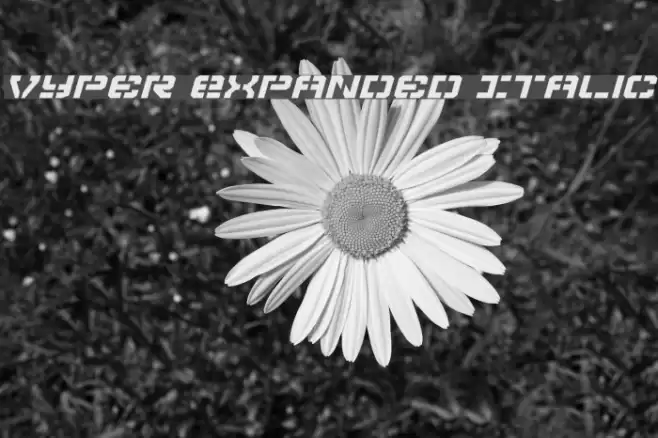 Vyper Expanded Italic Font examples