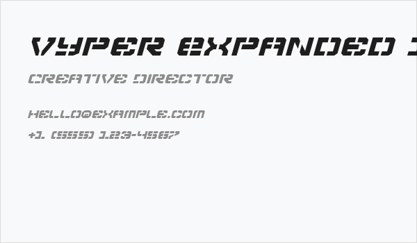 Vyper Expanded Italic Business Card