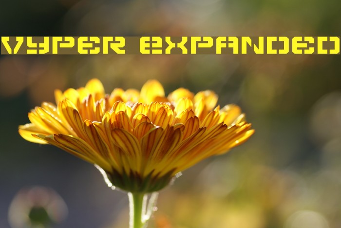 Vyper Expanded Font examples